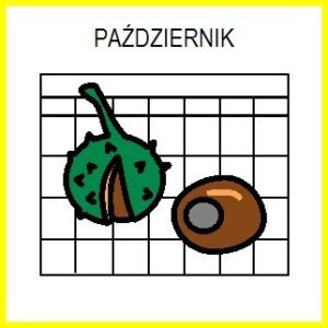 svg%3E