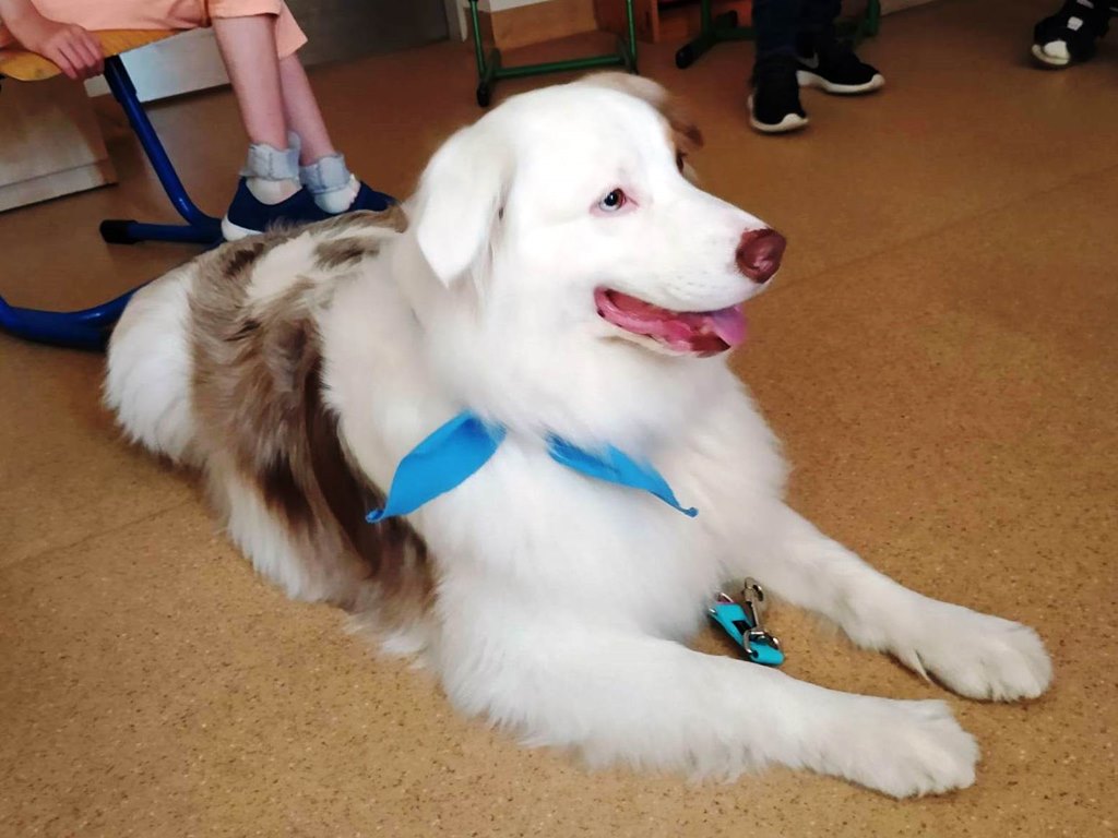 WIOSENNIE W KLASIE 4A 5A