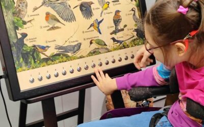 Grudniowe nowości w&nbsp;klasie 5E/6E