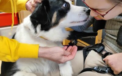 Styczeń w&nbsp;klasie 5E/6E