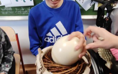 Marzec w&nbsp;klasie 5E/6E