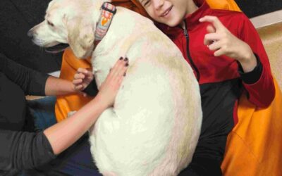 Jesienne zdjęcia klasy 3D/4B/5D