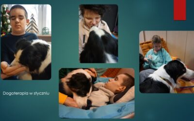 Relacja z&nbsp;pierwszego semestru ZRW D